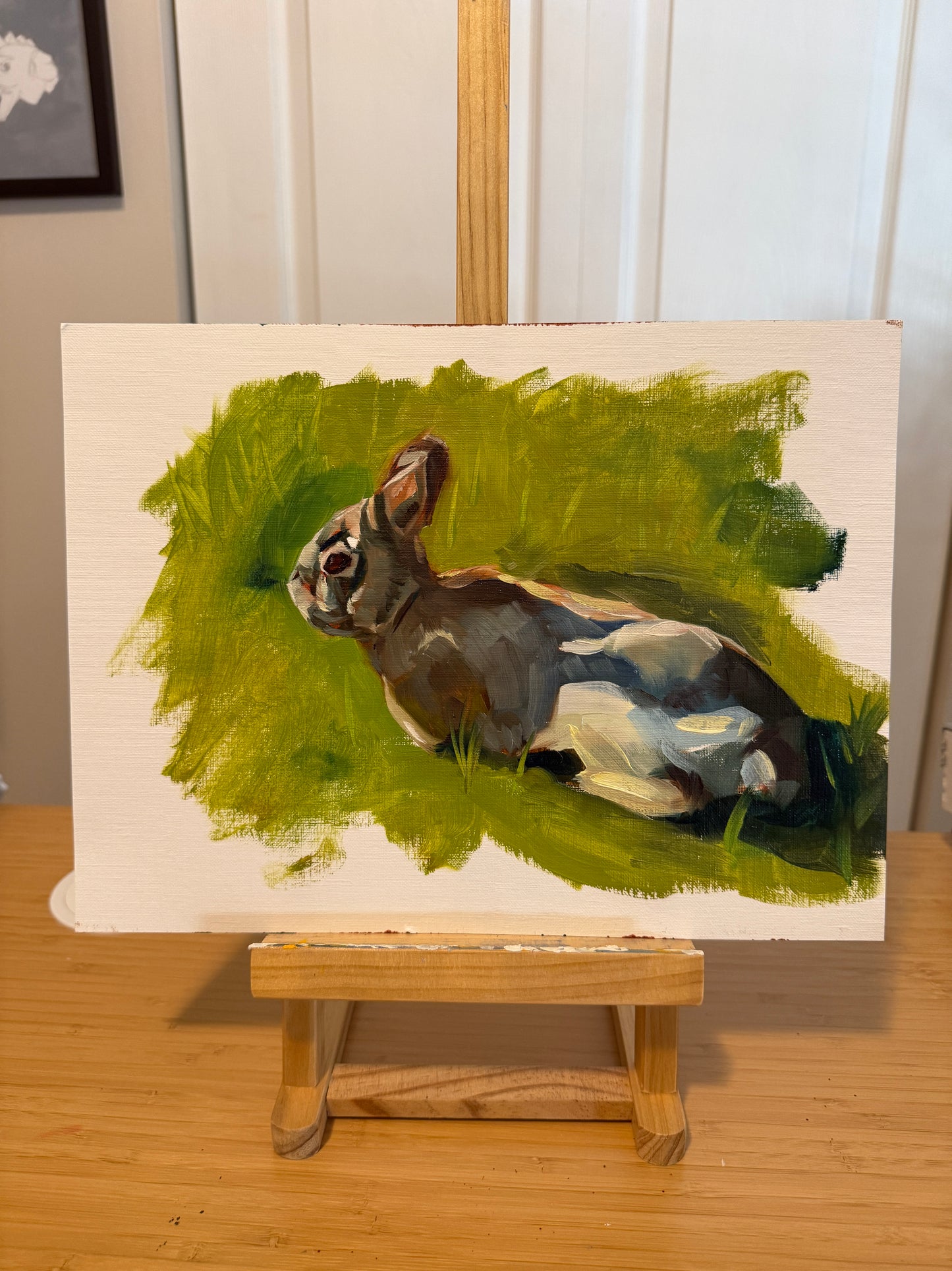 Backyard Bunny