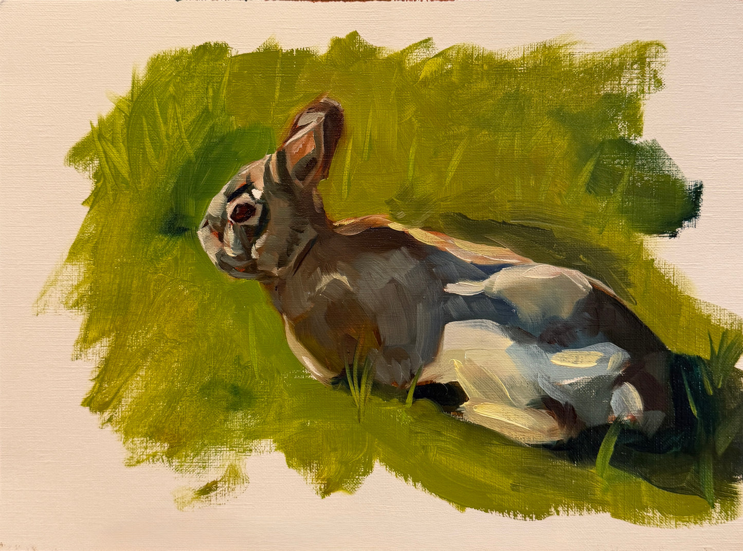 Backyard Bunny